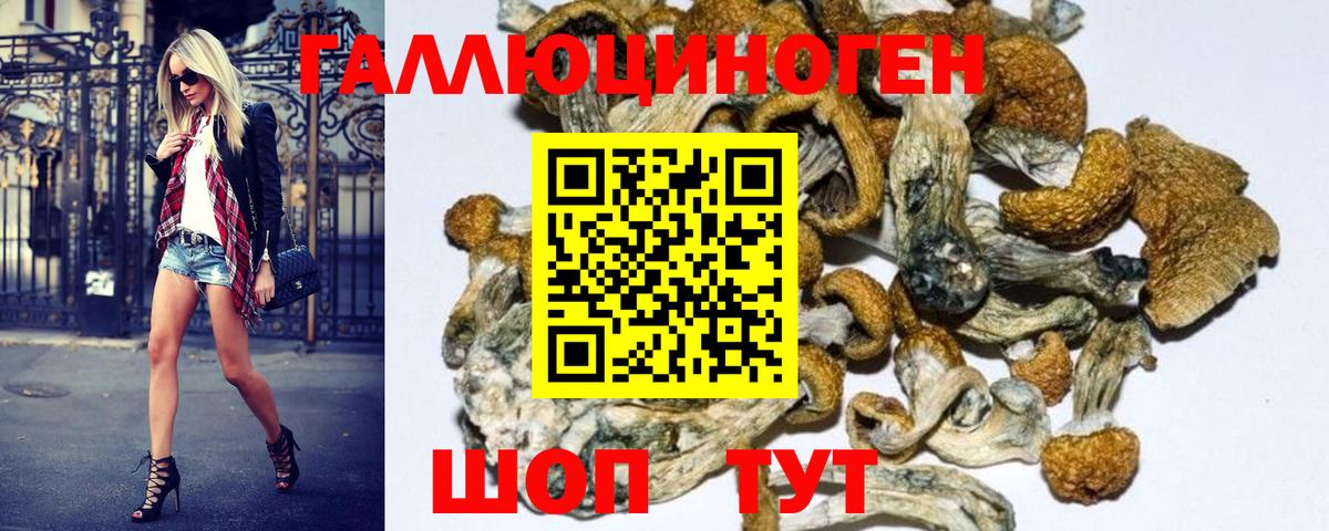 Псилоцибиновые грибы Magic Shrooms  Вход с VPN  Севастополь 