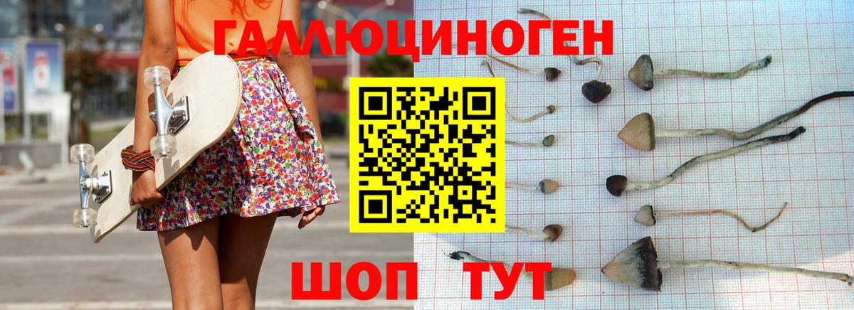 Псилоцибиновые грибы прущие грибы Севастополь